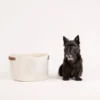 Midlee Oval Leather Handle Toys Basket