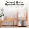 American Atelier Water Hyacinth Wicker Basket With Carry Handles, Rectangular Woven Storage Baskets, Laundry Storage Or Pantry Bin 2 American Atelier Water Hyacinth Wicker Basket With Carry Handles, Rectangular Woven Storage Baskets, Laundry Storage Or Pantry Bin -Storage Basket Shop GUEST 20be1d52 05f3 40e0 bf48 a4e1bde47937