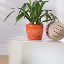 Guidecraft EdQ 2-Shelf Open Storage - 24" -Storage Basket Shop GUEST 862cca7d d1d0 4c13 9160 88377d7da020