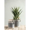 Shiraleah Home, Blue Set Of Two Sierra Planter Baskets -Storage Basket Shop GUEST 9bbb7bb5 b51e 4e60 95d4 c418048cb523